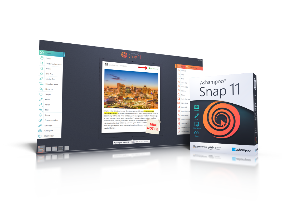 Snap 11
